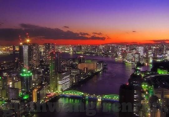 体球网 足球比分-深度解析体球网，足球比分的实时追踪与战术价值挖掘